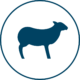 Lamb Icon