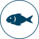 Fish Icon